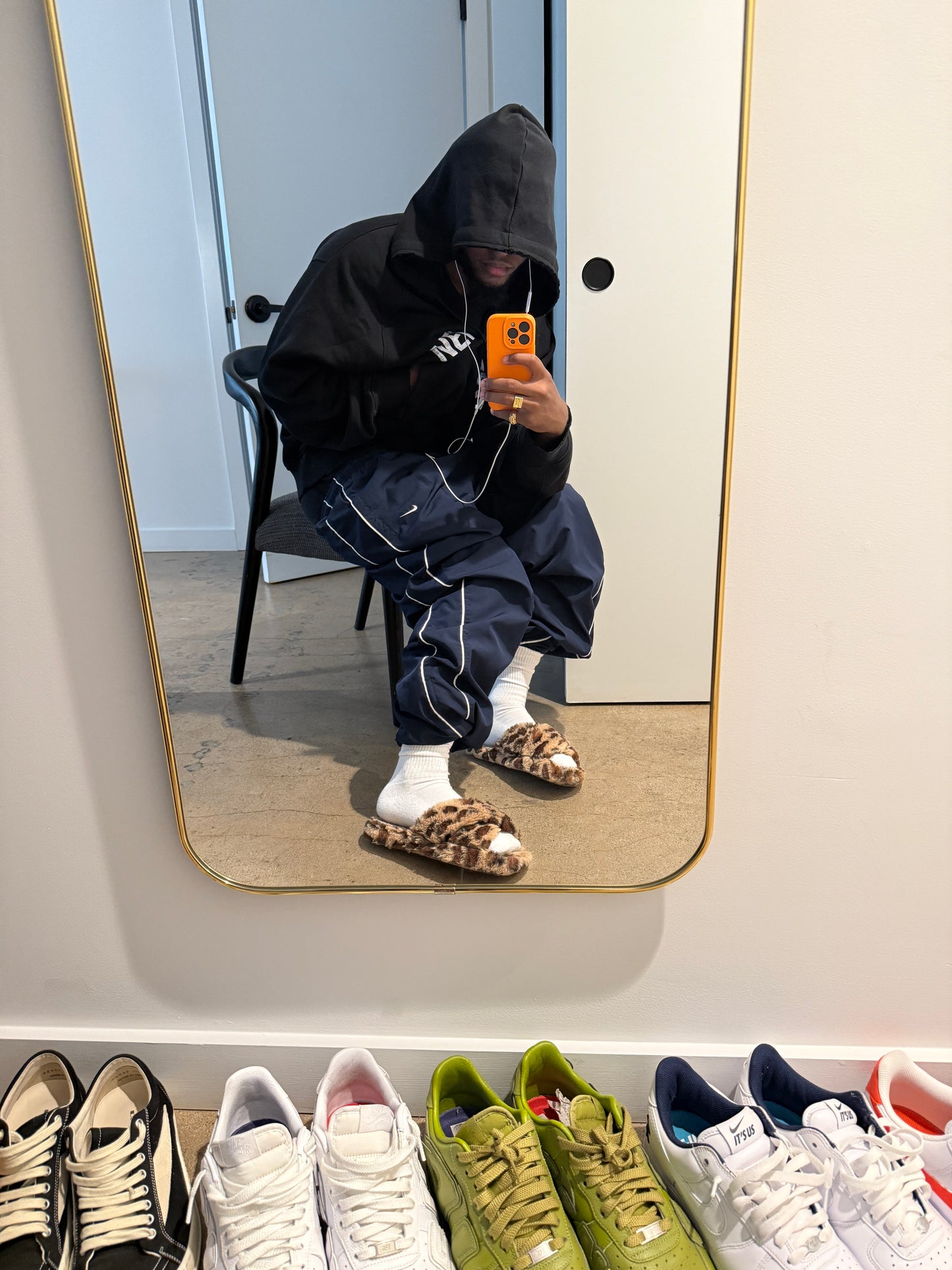 Cheetah slides