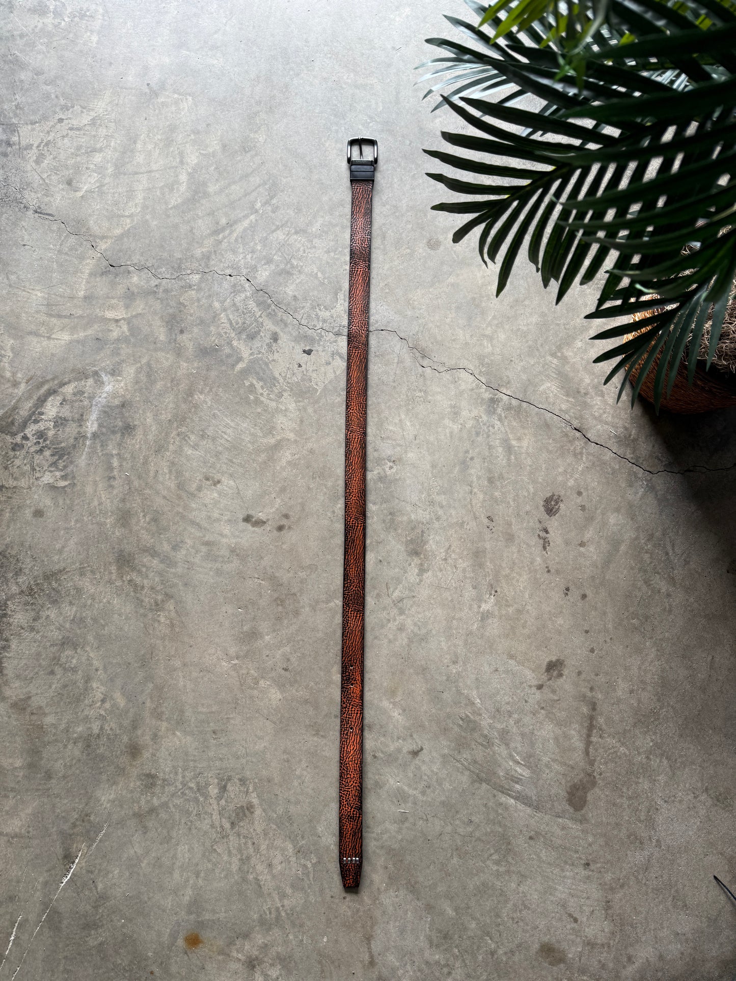 Unknown belt